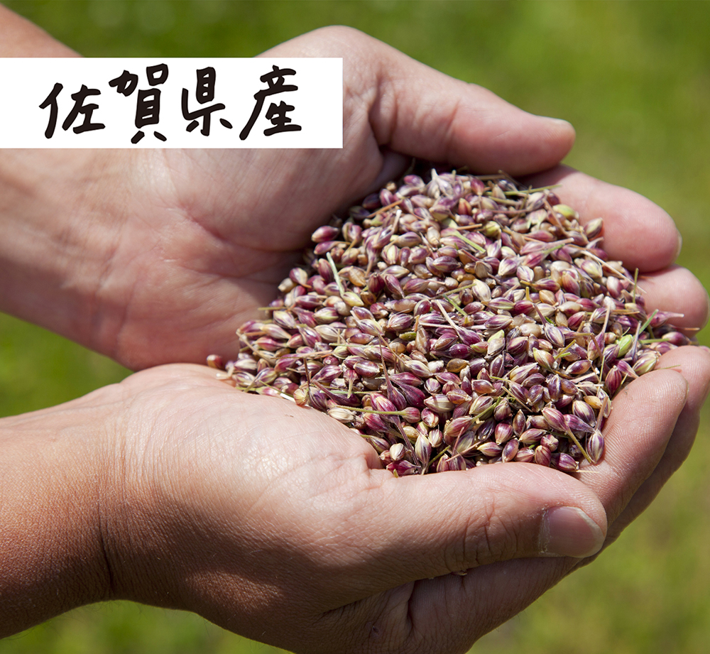 株式会社フェルマ木須