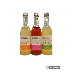 コーディアルシロップ_110g×3本_小瓶ﾀｲﾌﾟ｜生姜３種セット